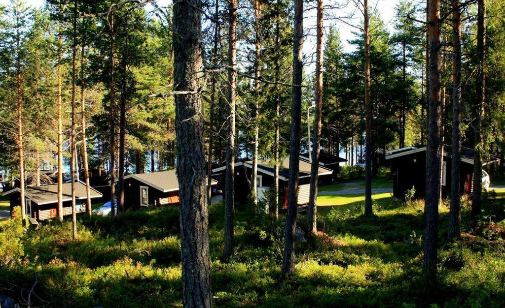 Lomakylae Timitraniemi Camping Lieksa